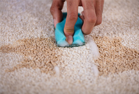 Détachage de tapis